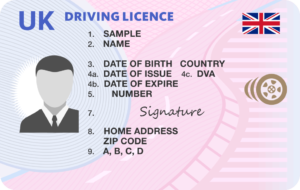 Driving Licence
